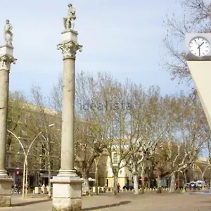 Llama Sevilla